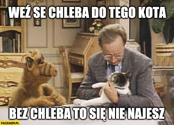 Obrazek